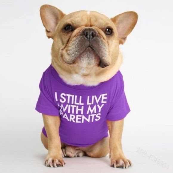 Trunkstar Other - “Still Live With My Parents" Pet Shirt - All Sizes - Purple